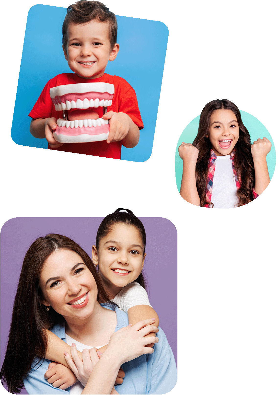 We provide an entire dental solution. We provide an entire dental solution.